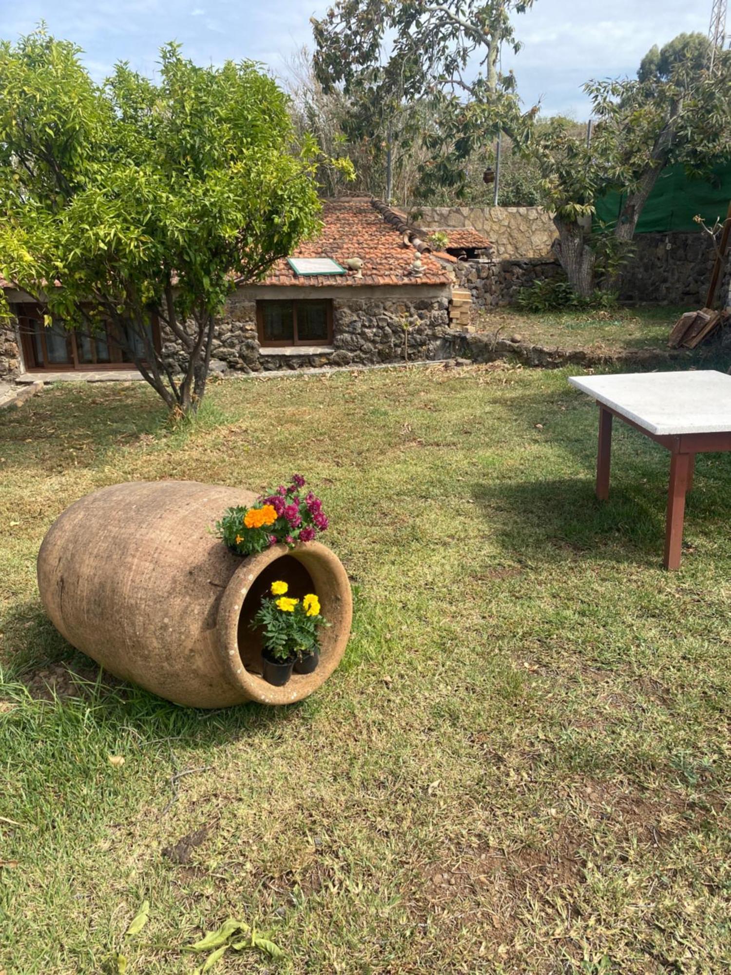 Rural House To Take A Break, La Serreria 25 - Private Garden Такоронте Экстерьер фото