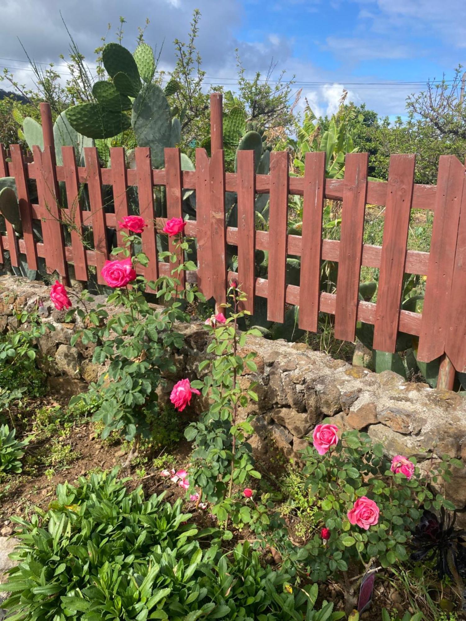 Rural House To Take A Break, La Serreria 25 - Private Garden Такоронте Экстерьер фото