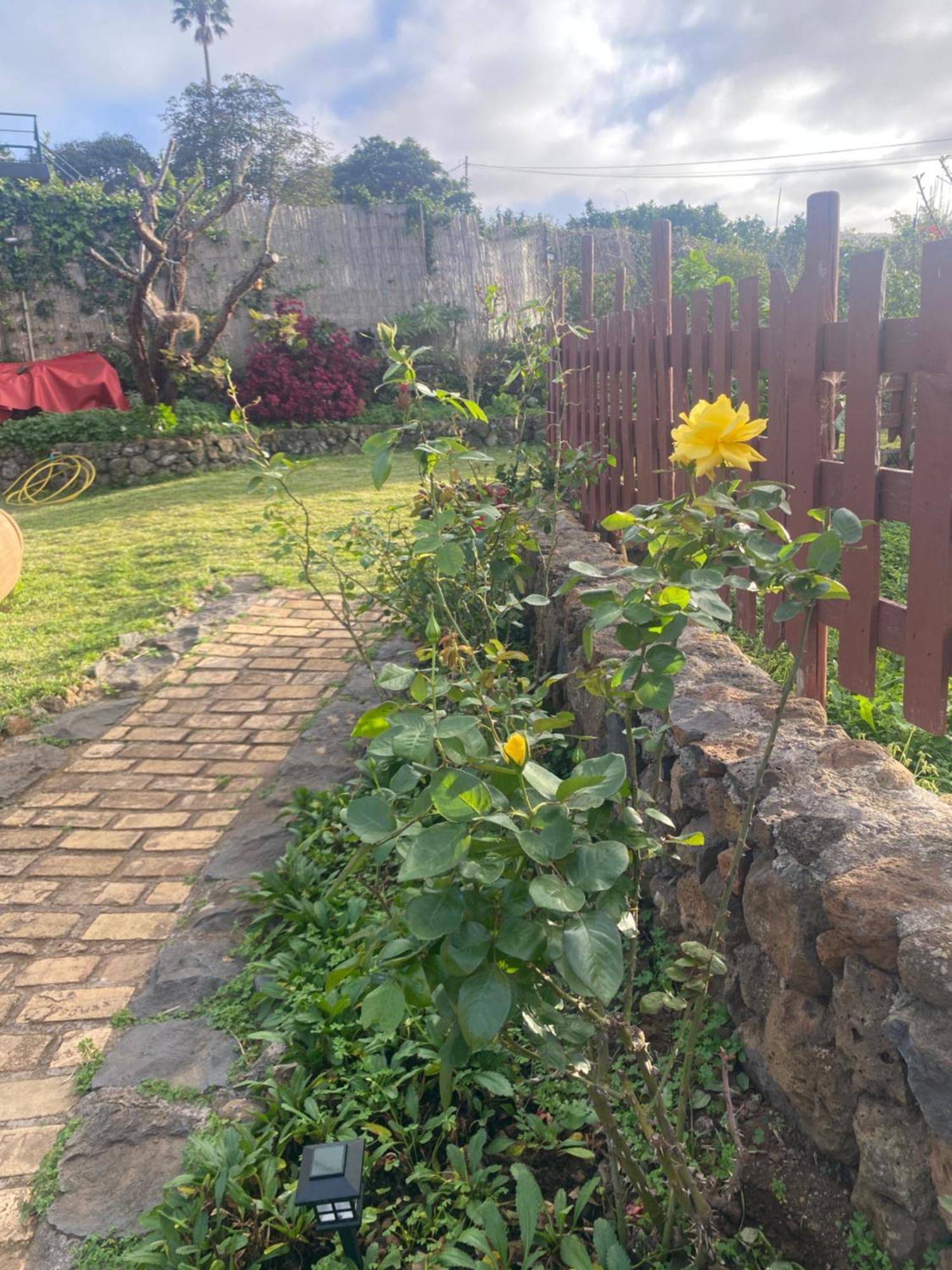 Rural House To Take A Break, La Serreria 25 - Private Garden Такоронте Экстерьер фото