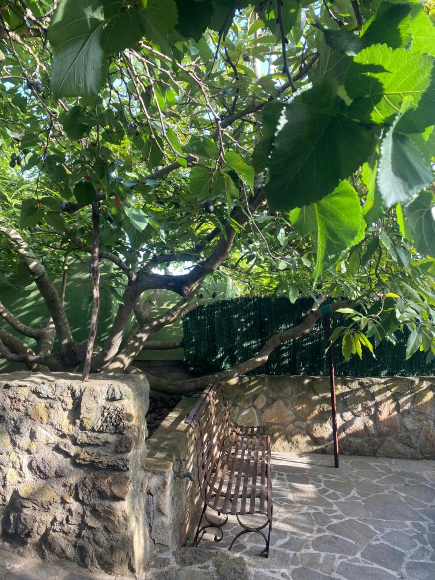 Rural House To Take A Break, La Serreria 25 - Private Garden Такоронте Экстерьер фото